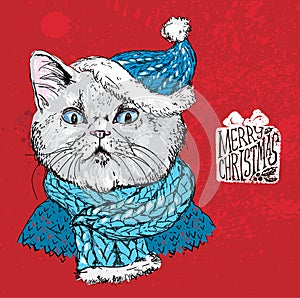 Hand drawn vector of cat with christmas