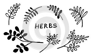 Hand drawn vector collection of herbs