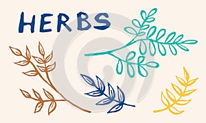 Hand drawn vector collection of herbs
