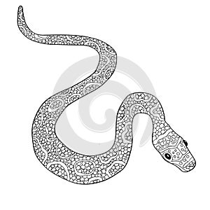 Hand drawn vector doodle outline snake decorated with ornaments.Ready for adult anti stress coloring book