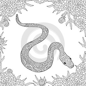 Hand drawn vector doodle outline snake decorated with ornaments.Ready for adult anti stress coloring book
