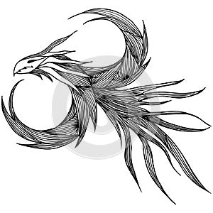 Hand drawn vector dragon illustration. Fantastic dragon icon. Freehand silhouette of mythology aminal. Fantasy outline