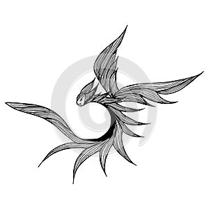Hand drawn vector dragon illustration. Fantastic dragon icon. Freehand silhouette of mythology aminal. Fantasy outline