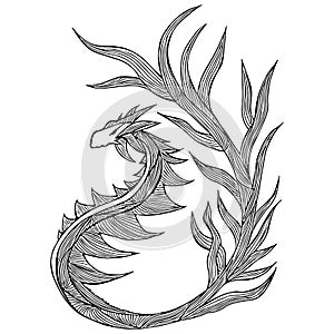 Hand drawn vector dragon illustration. Fantastic dragon icon. Freehand silhouette of mythology aminal. Fantasy outline photo