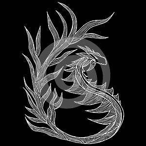 Hand drawn vector dragon illustration isolated on black background. Fantastic dragon icon. Freehand mythology aminal. Fantasy photo