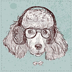 Hand Drawn Vector Fashion Portrait of Poodle