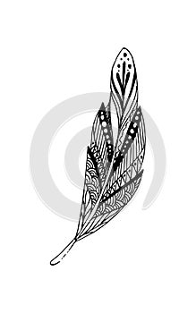 Hand drawn vector feathers in boho style. Isolated on white background.