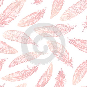 Hand drawn vector feathers line art seamless pattern on white background. Detailed pink boho decoration