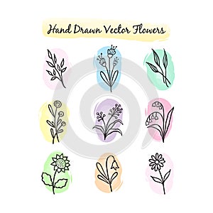 Hand Drawn Vector Flowers Set with colorful backgrounds