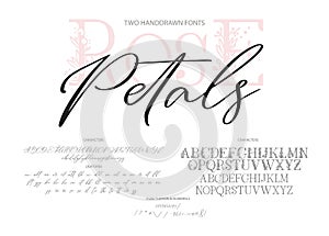 Hand drawn vector font.