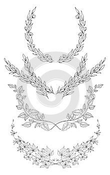 Hand drawn vector frames. Decorative elements for wedding design and logo. Floral elements on a white background.