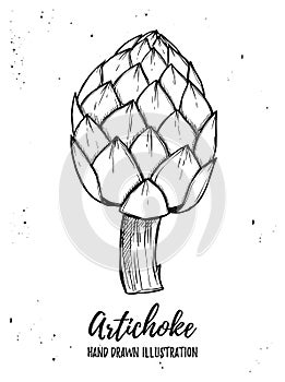 Hand drawn vector illustration - Artichoke. Fresh organic