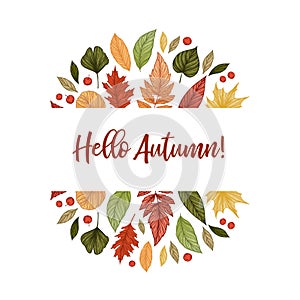 Hand drawn vector illustration. Background with Fall leaves. For