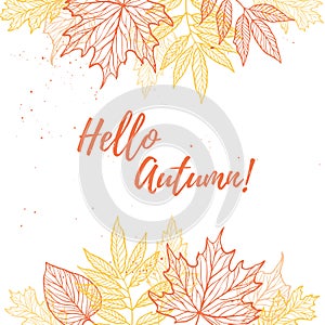 Hand drawn vector illustration. Background with Fall leaves. For