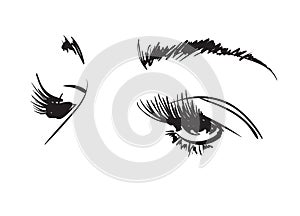 Hand drawn vector illustration. Beautiful woman eye makeup. Fashion sketch