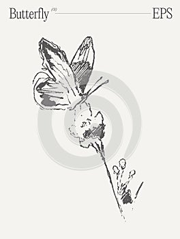 Hand drawn vector illustration of a butterfly on flower on blank backdrop. Sketch.