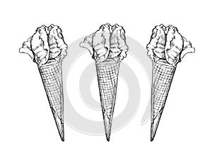 Hand drawn vector illustration - Collection of ice cream. Ice cr