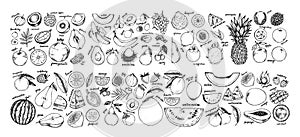 Hand drawn vector illustration - Collection of tropical and exotic Fruits. Healthy food elements. Apple, orange, papaya, coconut,