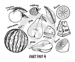 Hand drawn vector illustration - Collection of tropical and exotic Fruits. Healthy food elements. Raspberry, watermelon, pear,