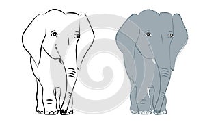 Hand drawn vector illustration with a cute elephant monochrome and colored