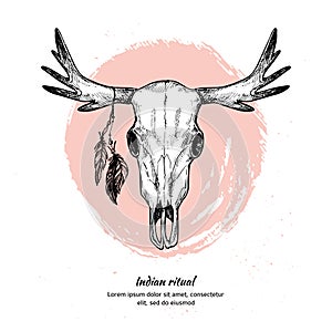 Hand drawn vector illustration - deer skull with feathers.