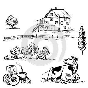 Hand drawn vector illustration with farm and cow. sketh. photo