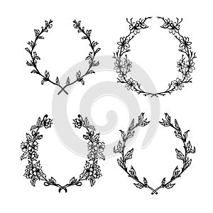 Hand-drawn vector illustration. Floral collection of laurels