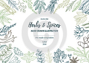 Hand drawn vector illustration. Frame with herbs and spices sag