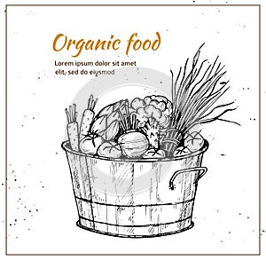 Hand drawn vector illustration - Fresh vegetables. Supermarket.