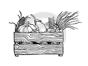 Hand drawn vector illustration - Fresh vegetables. Supermarket.