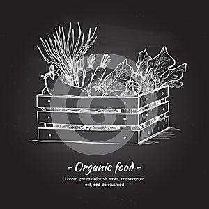 Hand drawn vector illustration -Fresh vegetables. Supermarket