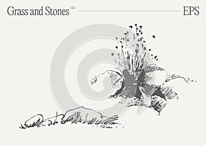 Hand drawn vector illustration of grass and rocks on blank backdrop. Isolated sketch.