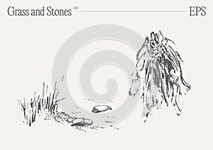 Hand drawn vector illustration of grass and rocks on blank backdrop. Isolated sketch.