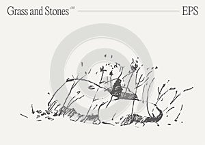 Hand drawn vector illustration of grass and rocks on blank backdrop. Isolated sketch.