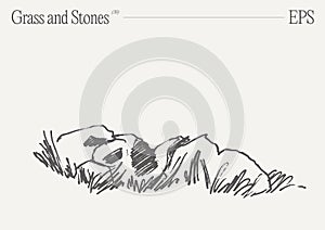 Hand drawn vector illustration of grass and rocks on blank backdrop. Isolated sketch.