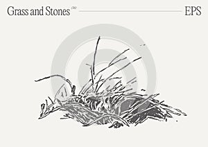 Hand drawn vector illustration of grass and rocks on blank backdrop. Isolated sketch.