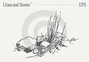 Hand drawn vector illustration of grass and rocks on blank backdrop. Isolated sketch.