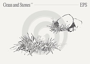 Hand drawn vector illustration of grass and rocks on blank backdrop. Isolated sketch.