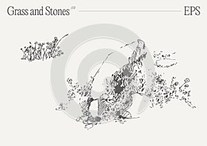 Hand drawn vector illustration of grass and rocks on blank backdrop. Isolated sketch.