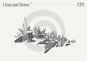 Hand drawn vector illustration of grass and rocks on blank backdrop. Isolated sketch.