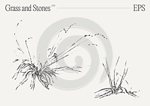 Hand drawn vector illustration of grass and rocks on blank backdrop. Isolated sketch.