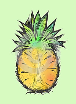Hand drawn vector illustration of half pineapple. Colorful design for t-shirt.