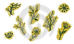 Hand drawn vector illustration of herbs