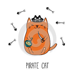 Carino pirata gatto 