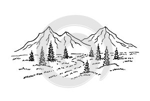 Hand drawn vector illustration of mountain landscape with pine trees