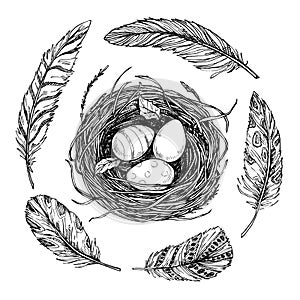 Hand drawn vector illustration - nest with Easter eggs and feathers