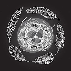 Hand drawn vector illustration - nest with Easter eggs and feathers. Happy Easter! Sketch on chalk board