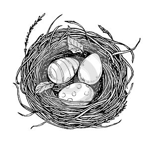 Hand drawn vector illustration - nest with Easter eggs. Happy Ea