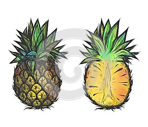 Hand drawn vector illustration of pineapple. Colorful design for t-shirt.