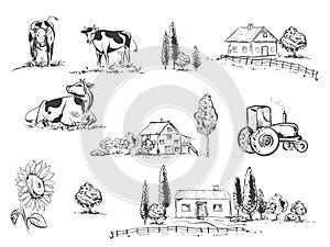 Hand drawn vector illustration set with farm and cow, sunflowers. sketh. photo